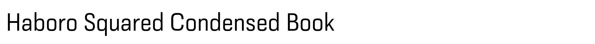 Haboro Squared Condensed Book image